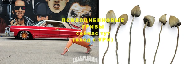 2c-b Михайловка