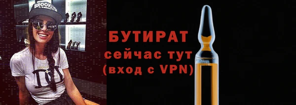 индика Фёдоровский