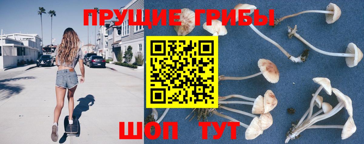 Галлюциногенные грибы мухоморы  Всеволожск 