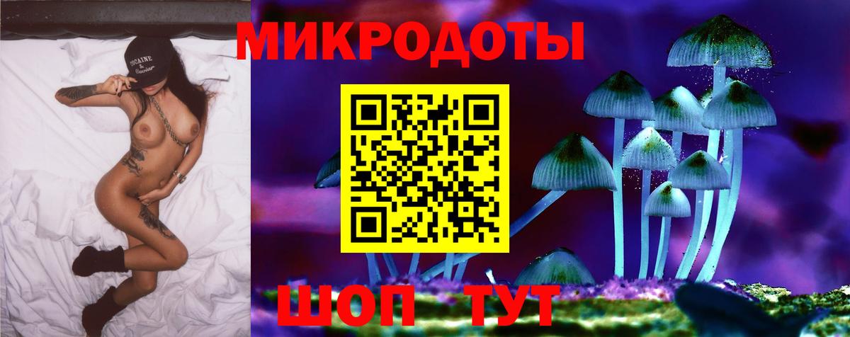 Псилоцибиновые грибы Psilocybe Всеволожск
