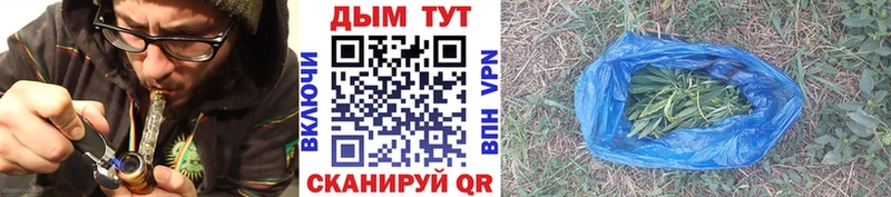 Бошки Шишки план  Всеволожск 